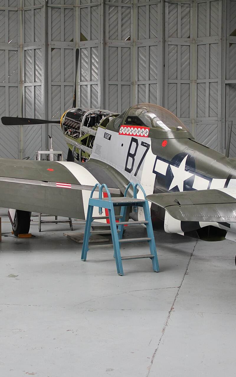  - Warbird