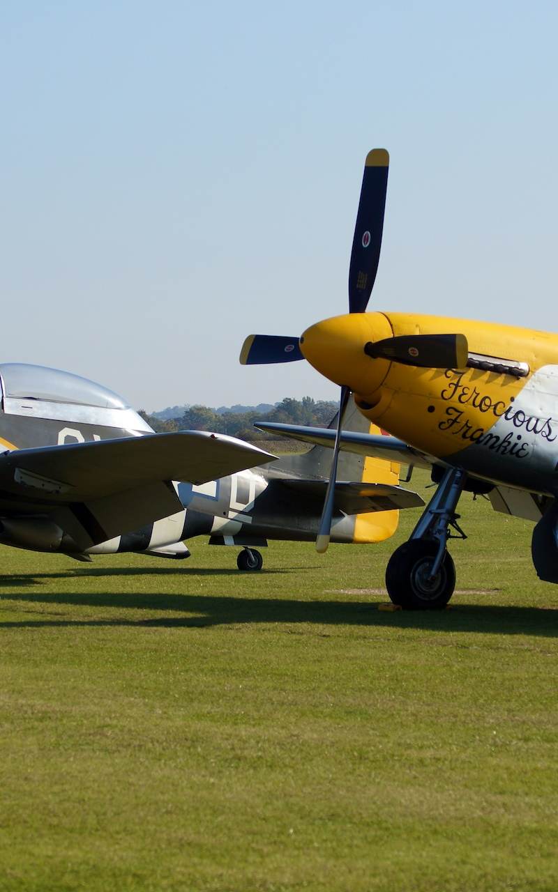  - Warbird