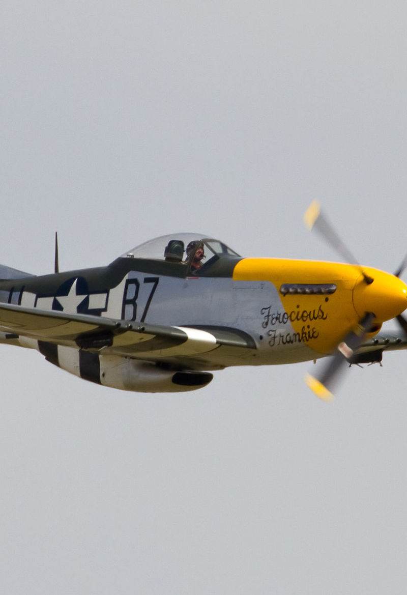  - Warbird