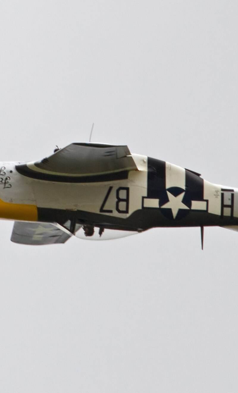  - Warbird