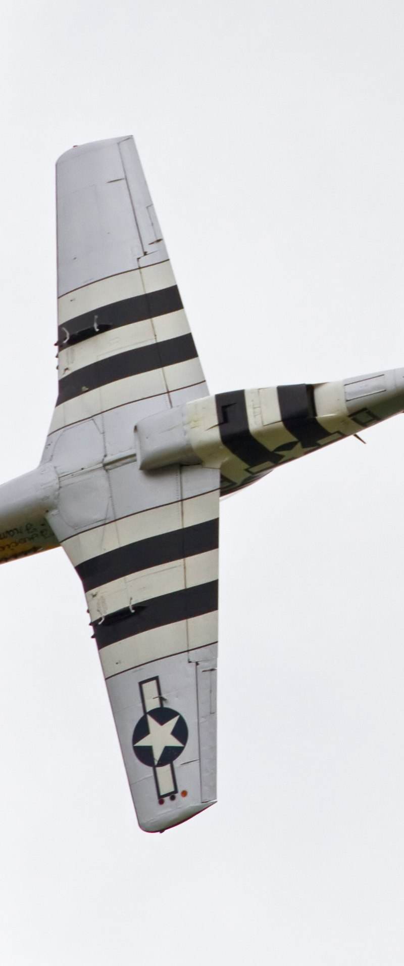 - Warbird