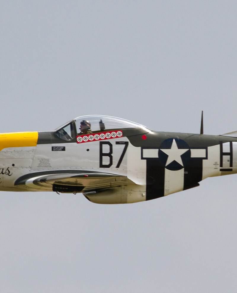  - Warbird