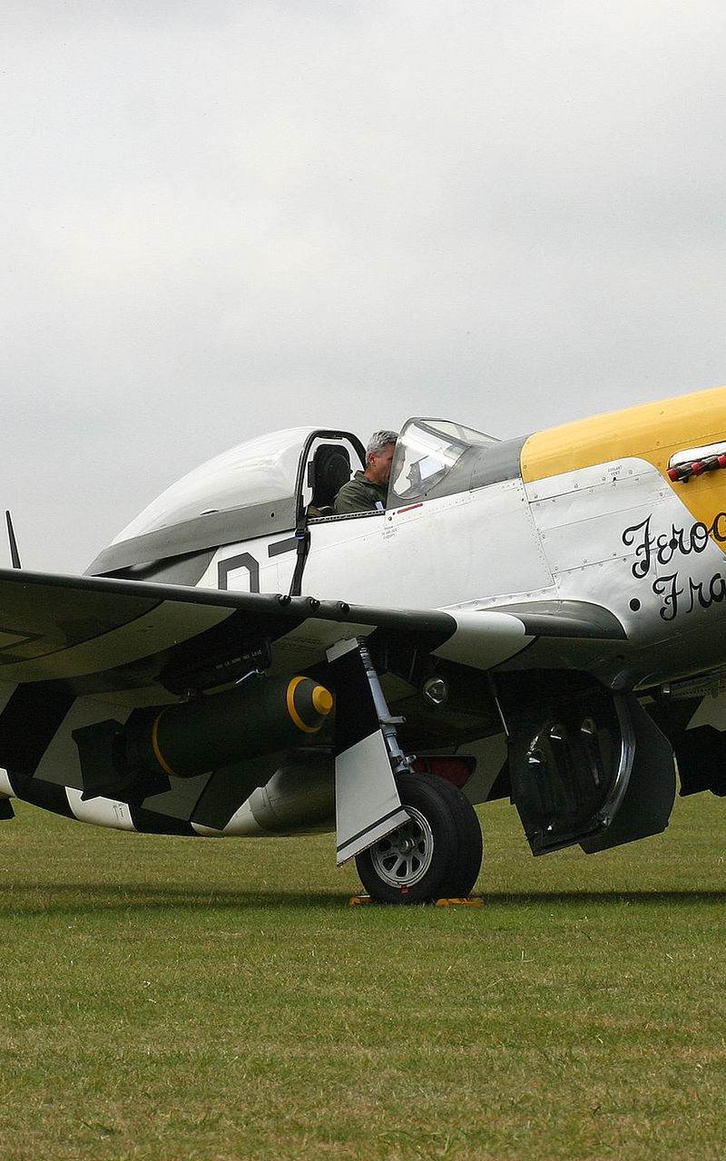  - Warbird