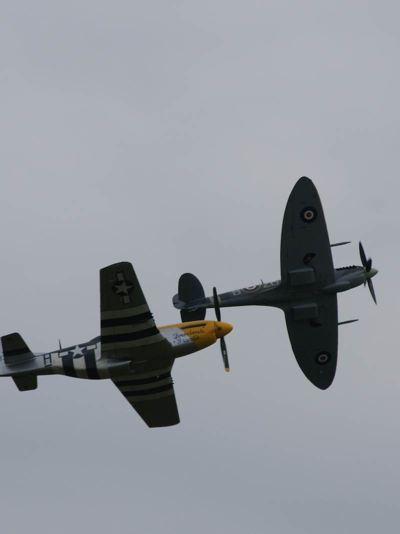  - Warbird