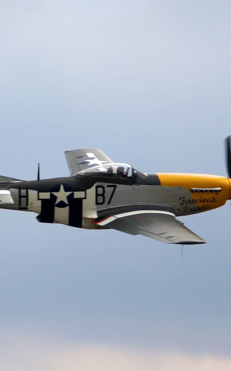  - Warbird