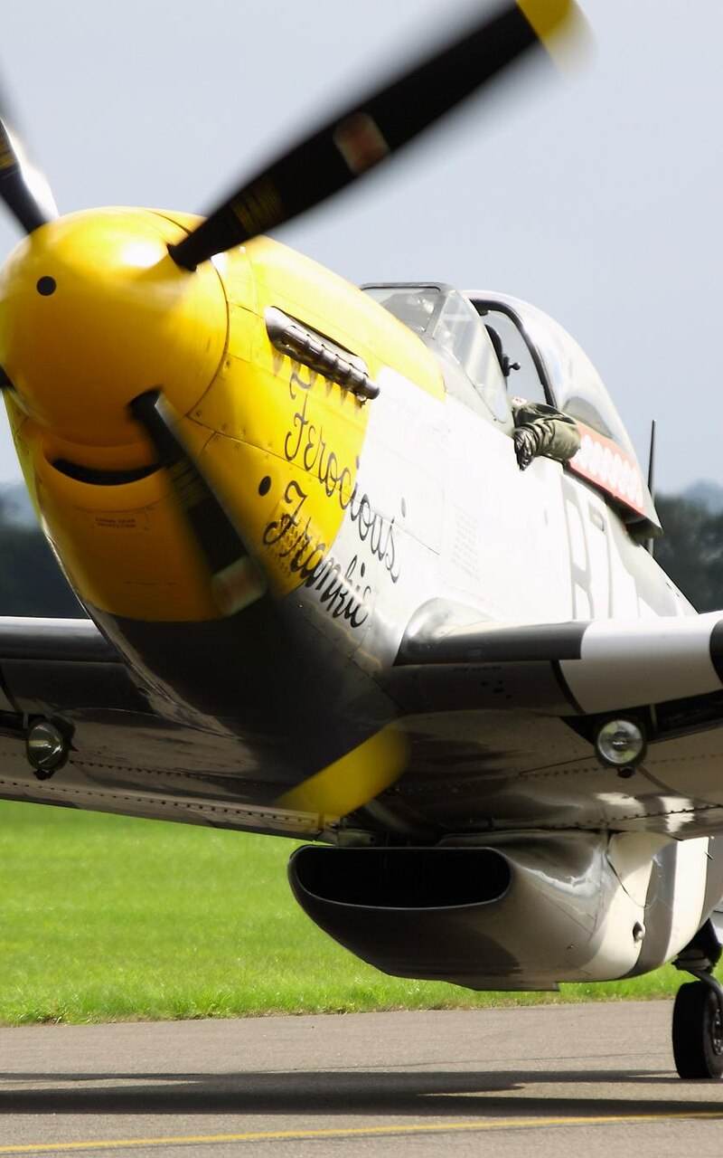  - Warbird