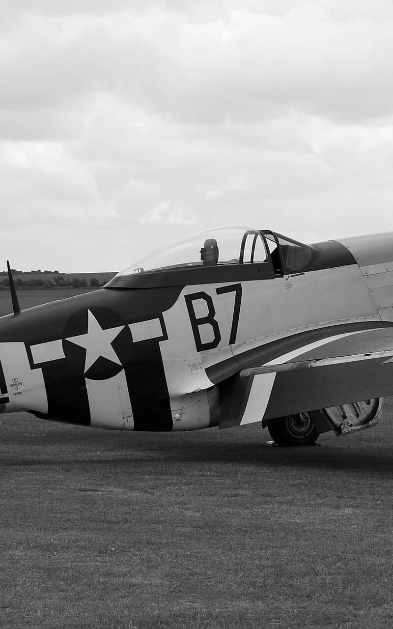  - Warbird