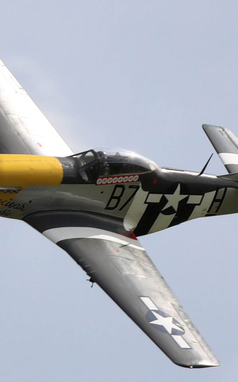  - Warbird