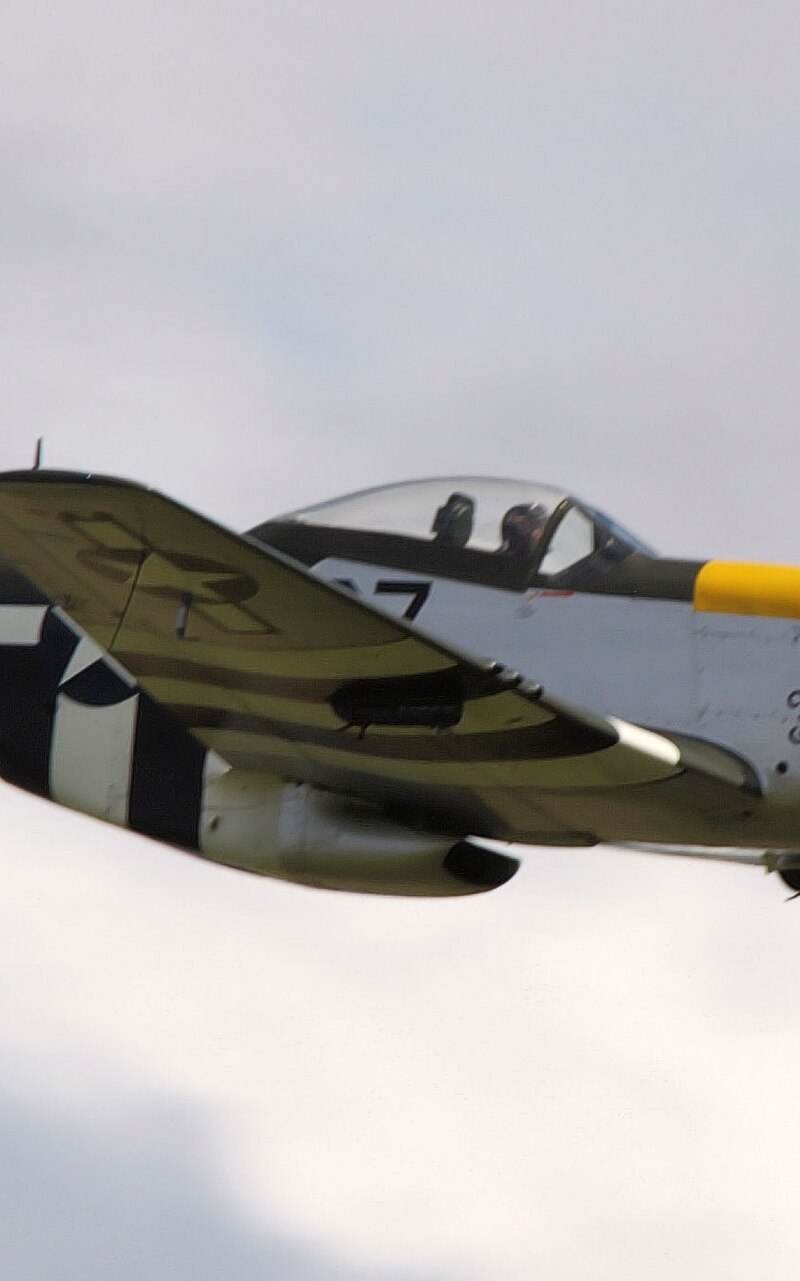  - Warbird