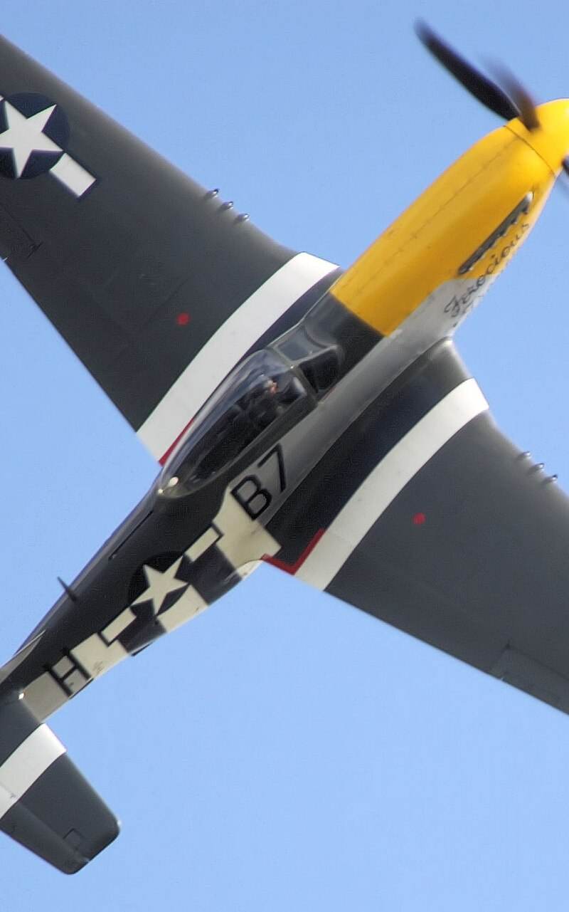  - Warbird