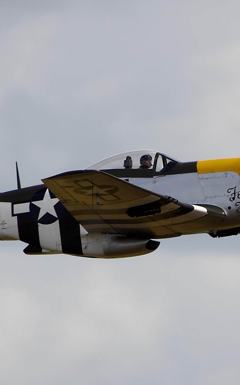  - Warbird