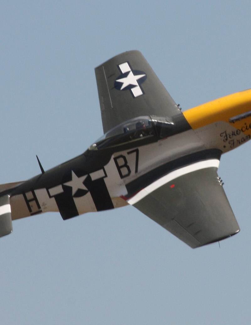  - Warbird