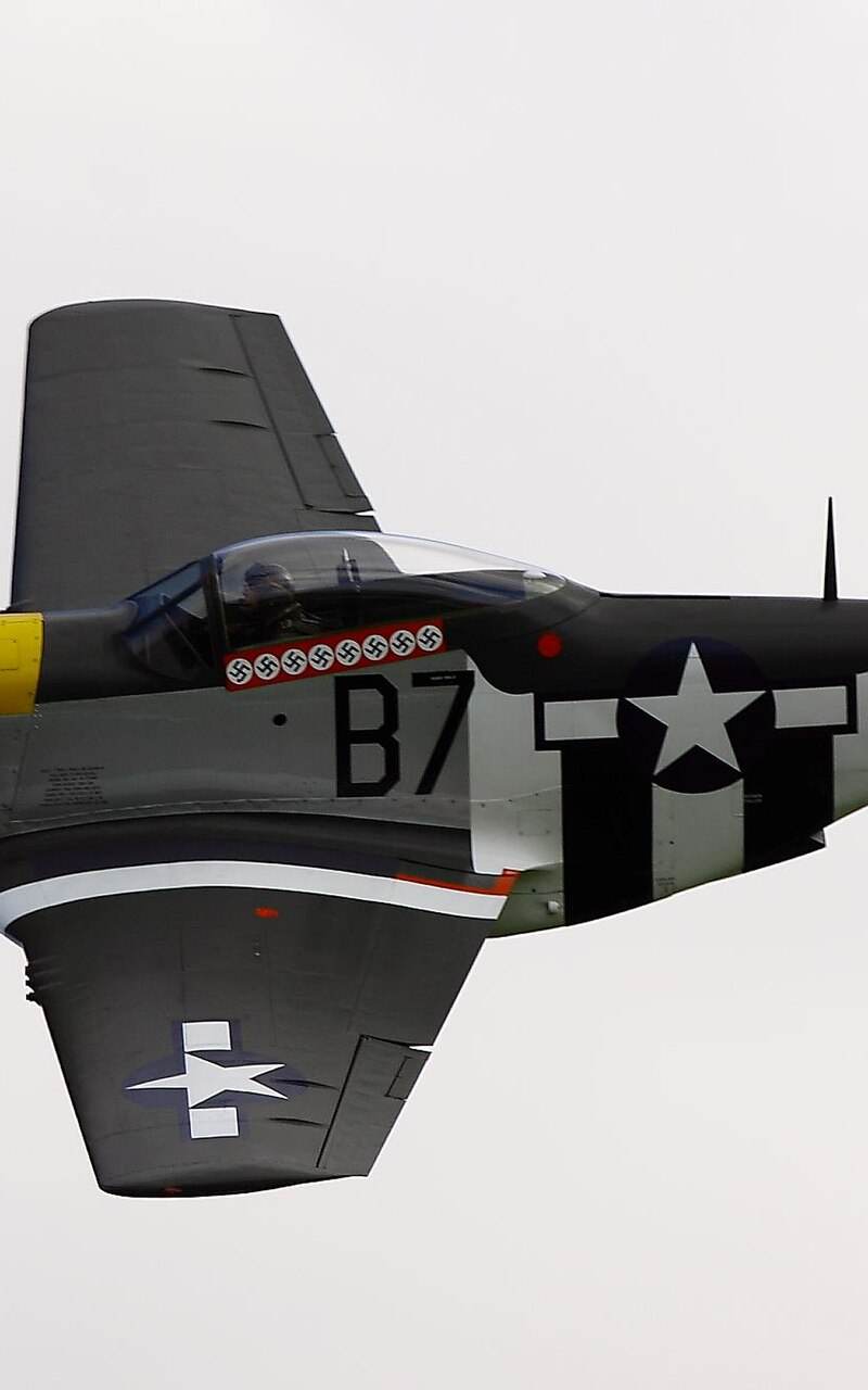  - Warbird