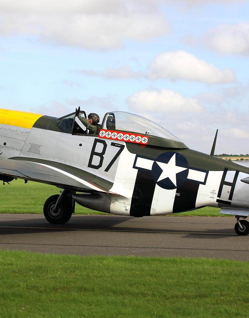 - Warbird