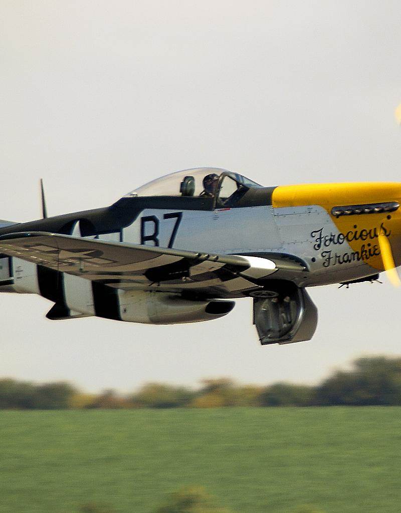  - Warbird