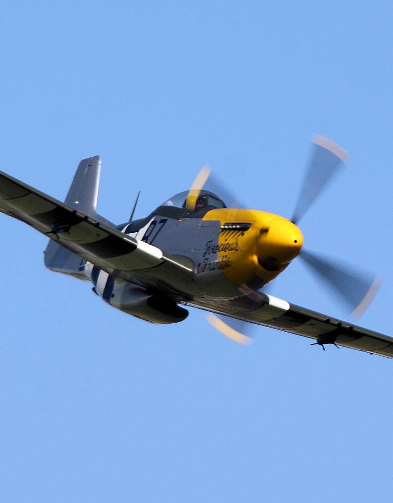  - Warbird