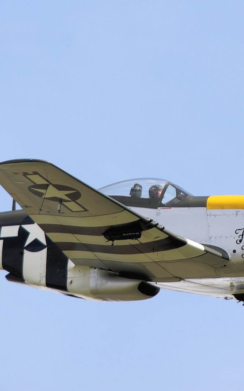  - Warbird