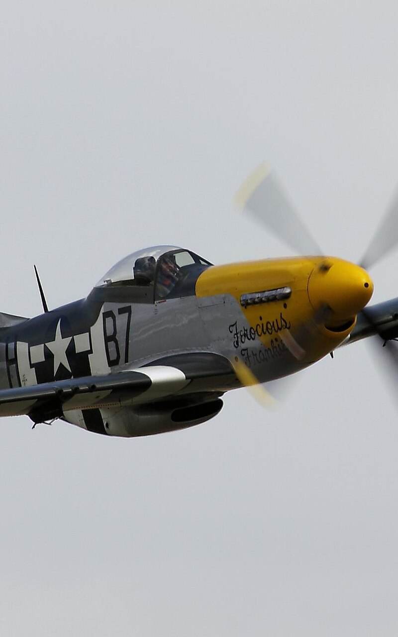  - Warbird