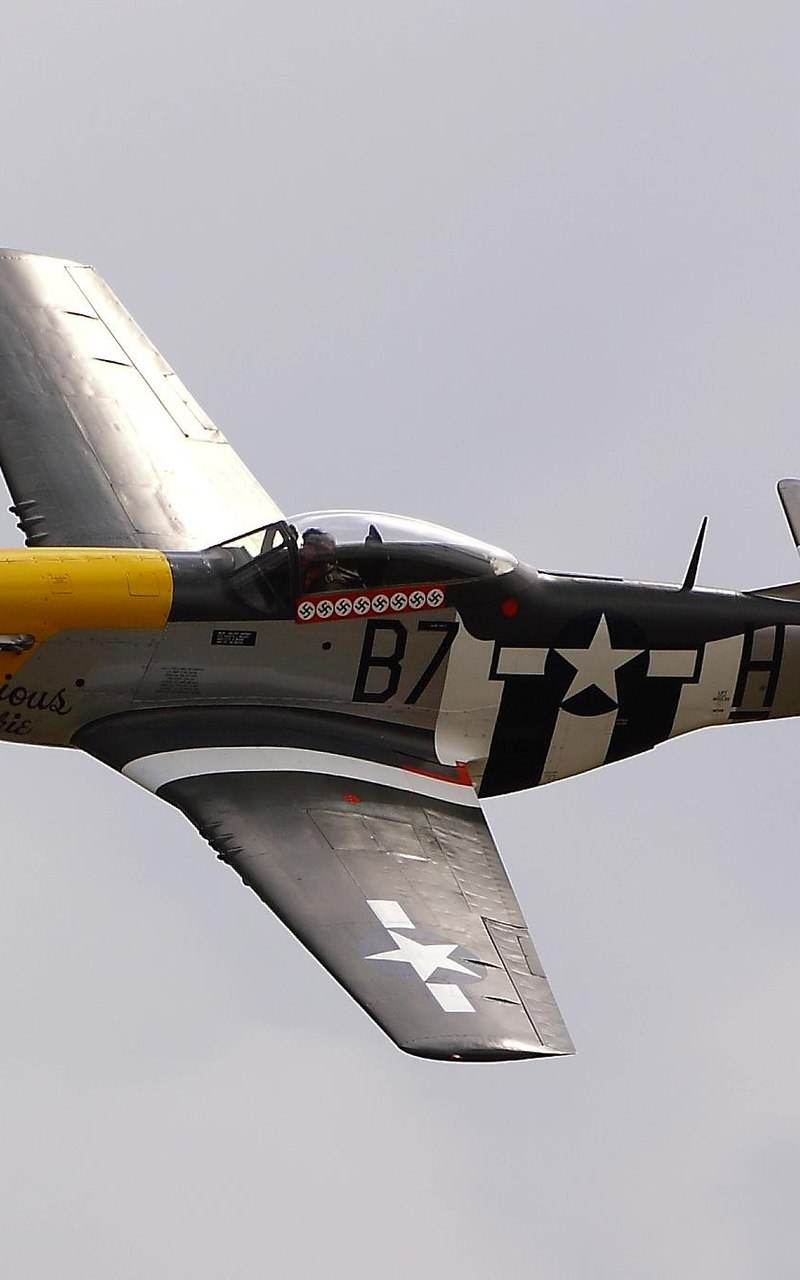  - Warbird