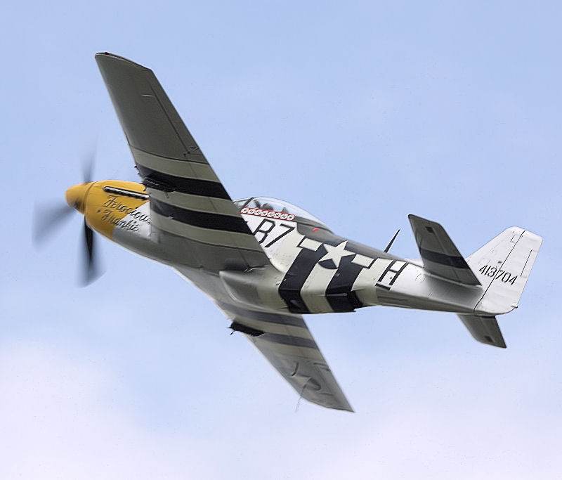  - Warbird