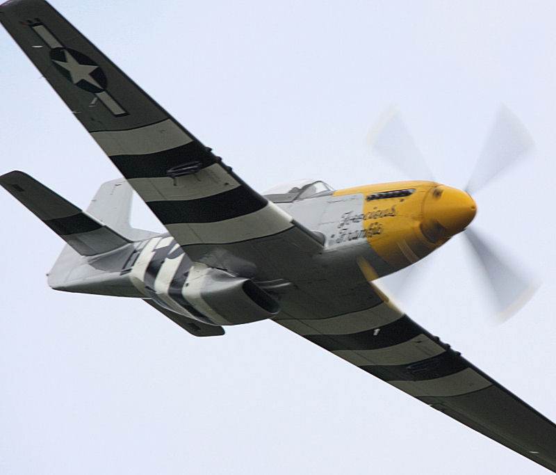  - Warbird