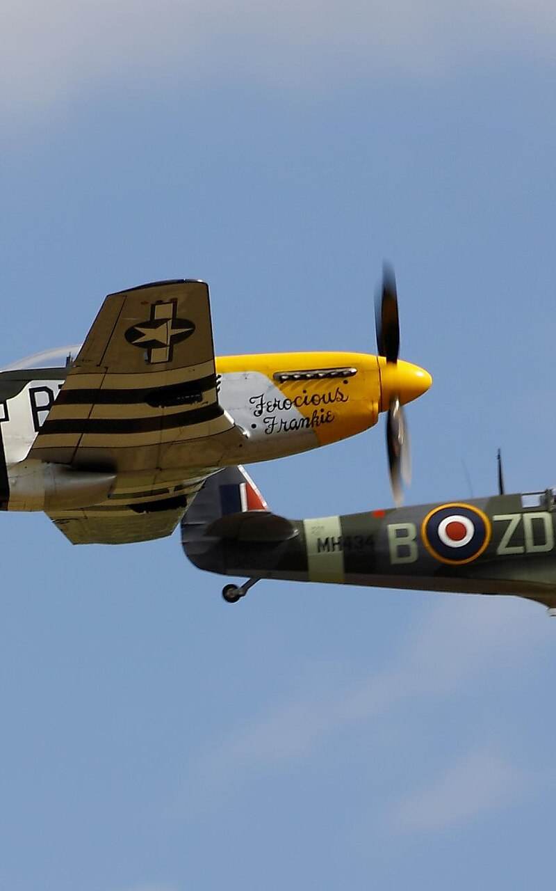  - Warbird