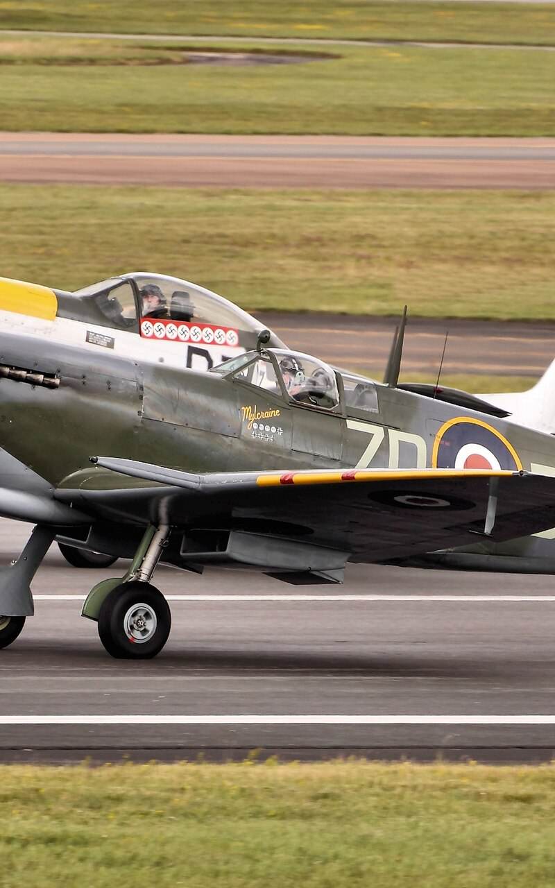  - Warbird