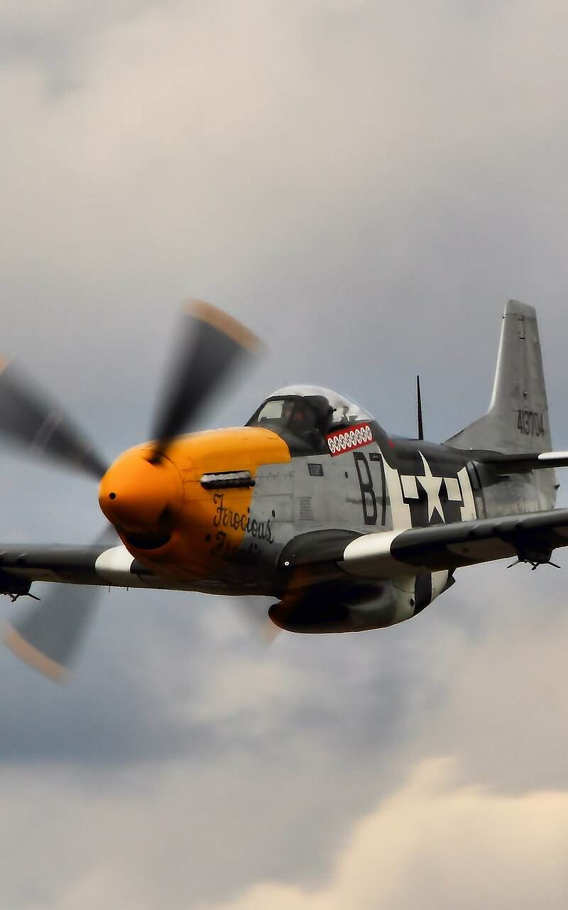  - Warbird