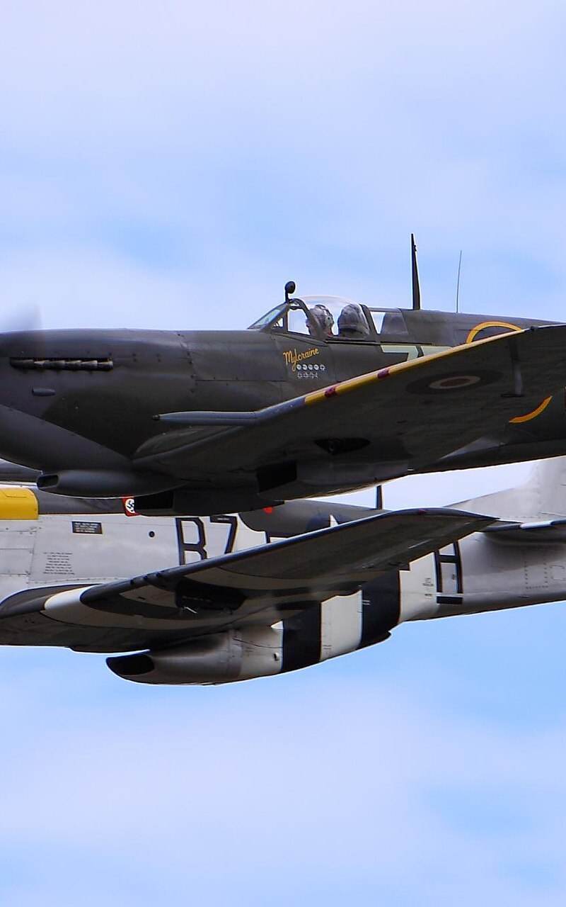  - Warbird