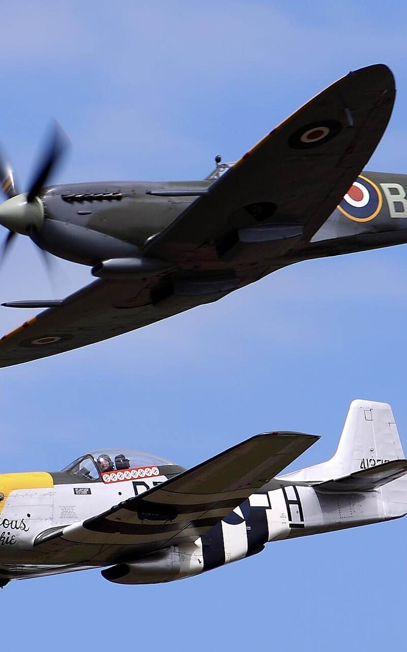  - Warbird