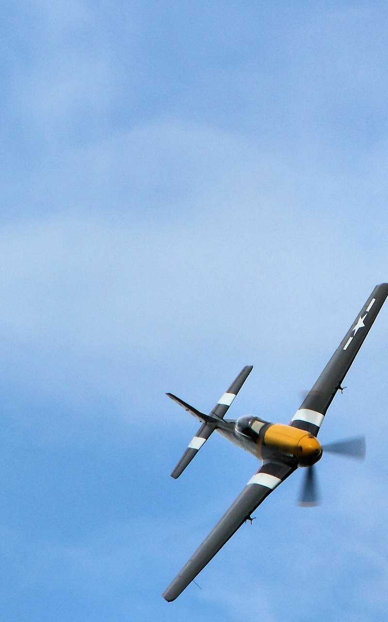  - Warbird