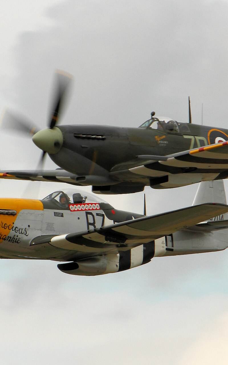  - Warbird