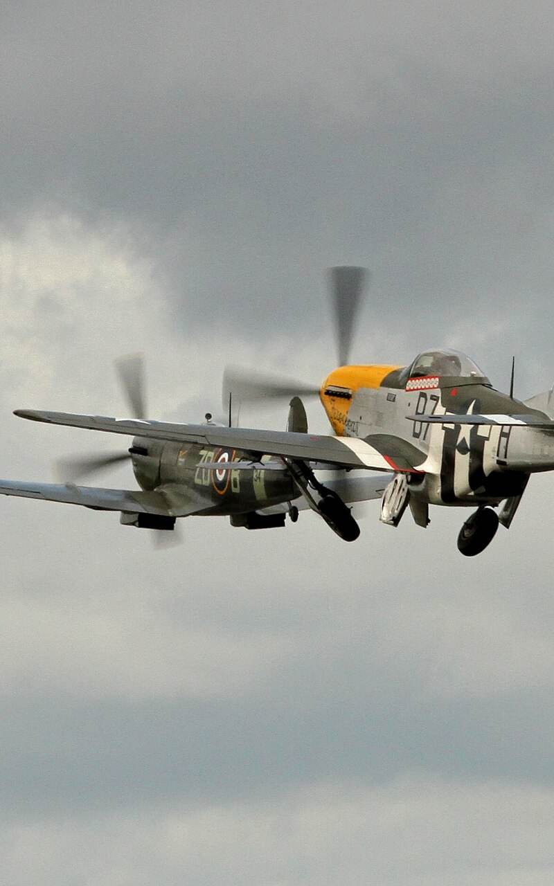  - Warbird
