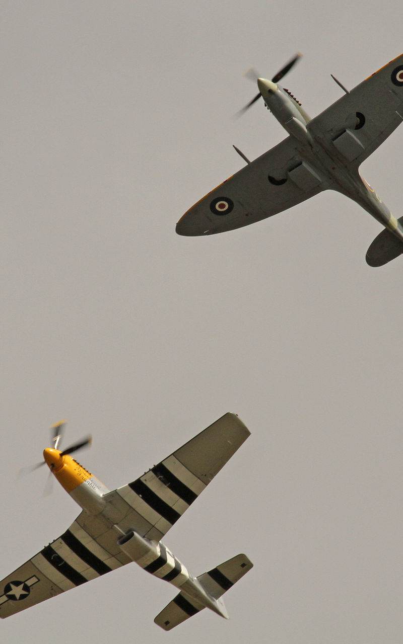 - Warbird