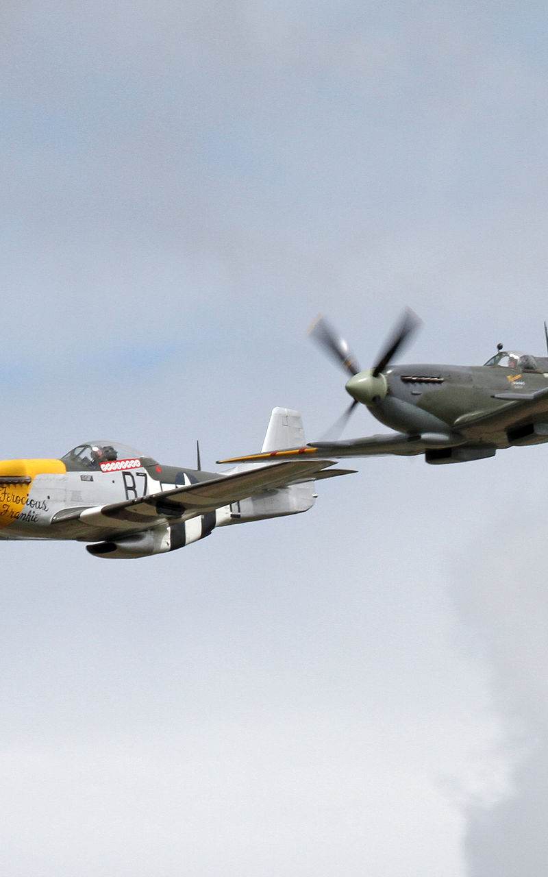  - Warbird