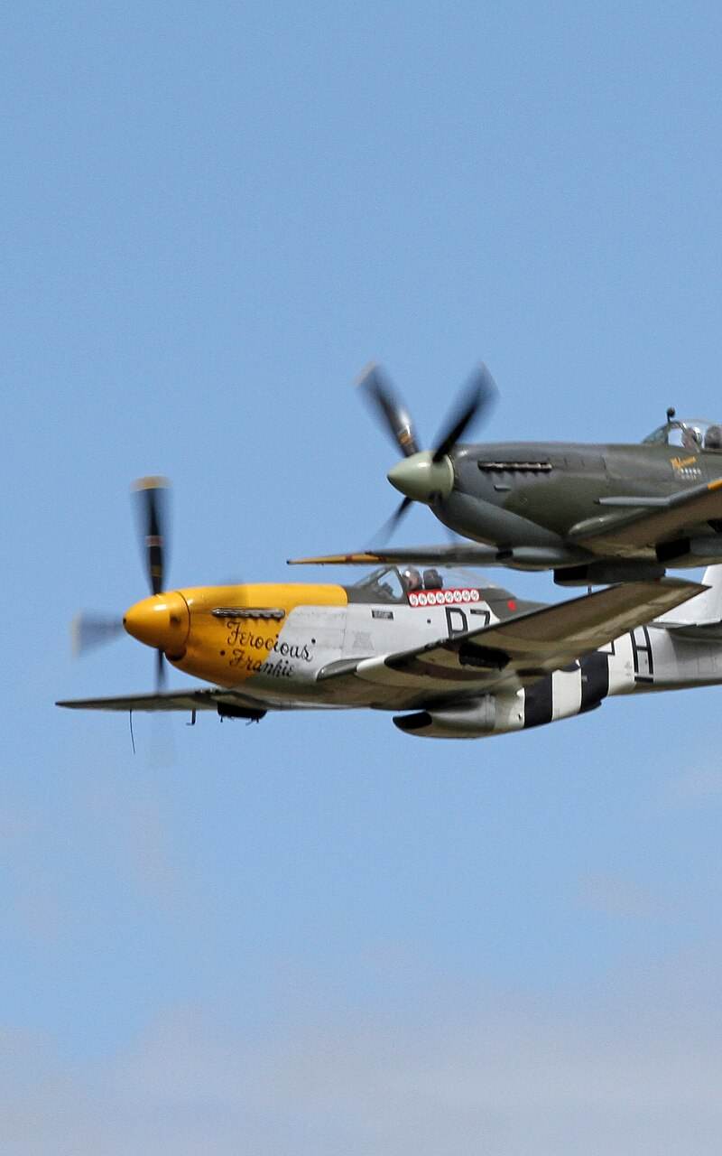  - Warbird