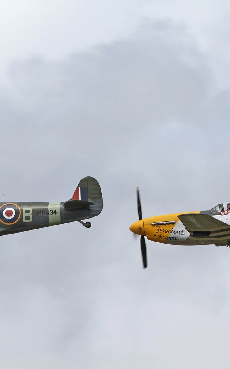  - Warbird