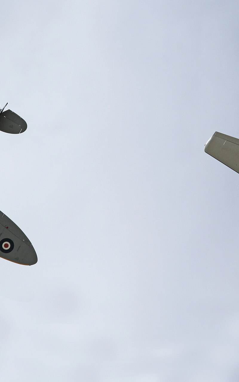  - Warbird