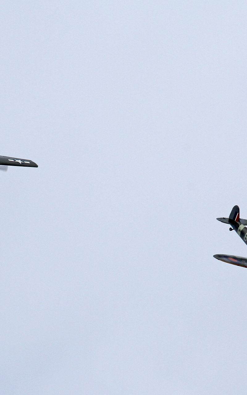  - Warbird