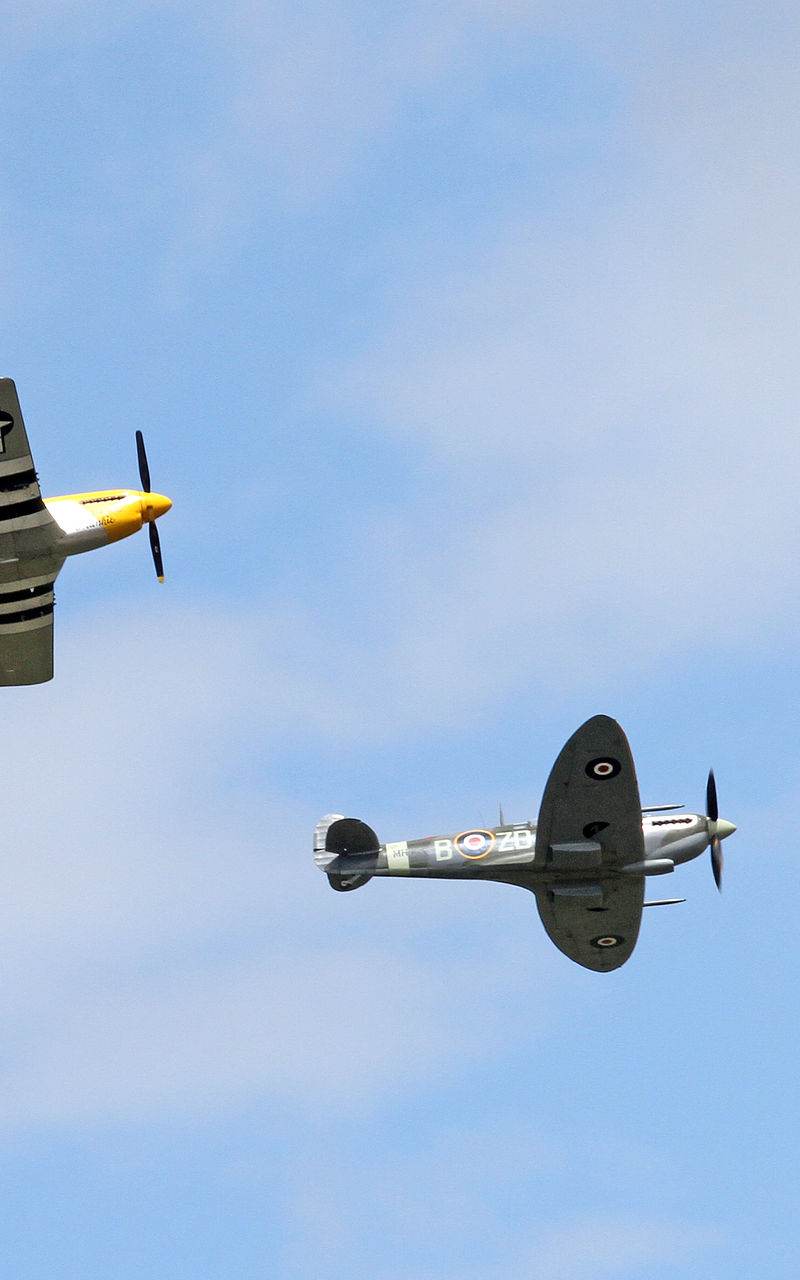  - Warbird