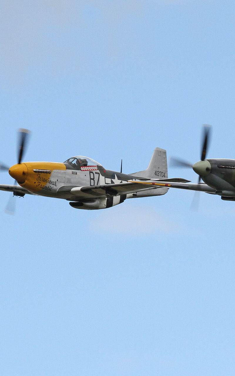  - Warbird