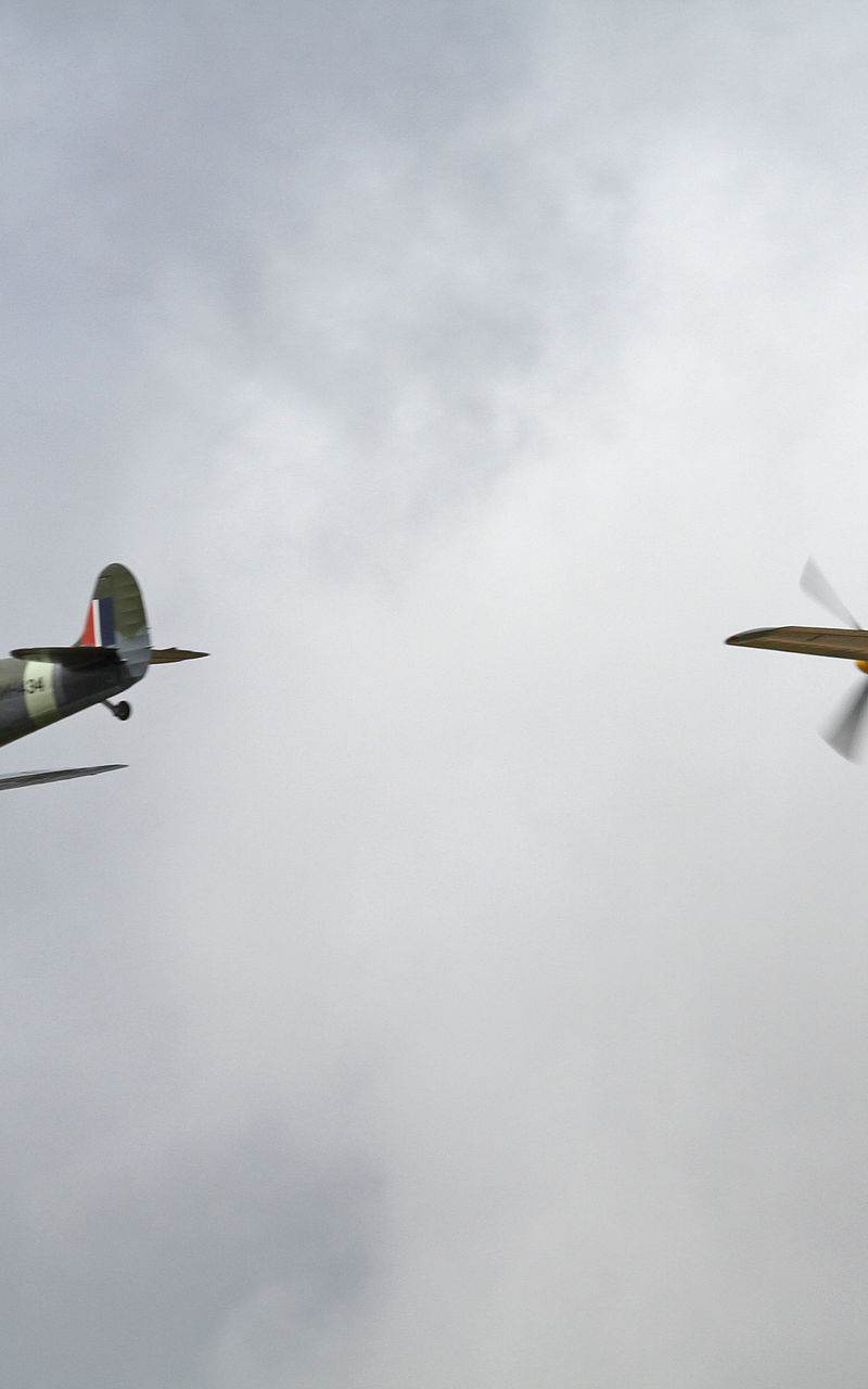  - Warbird