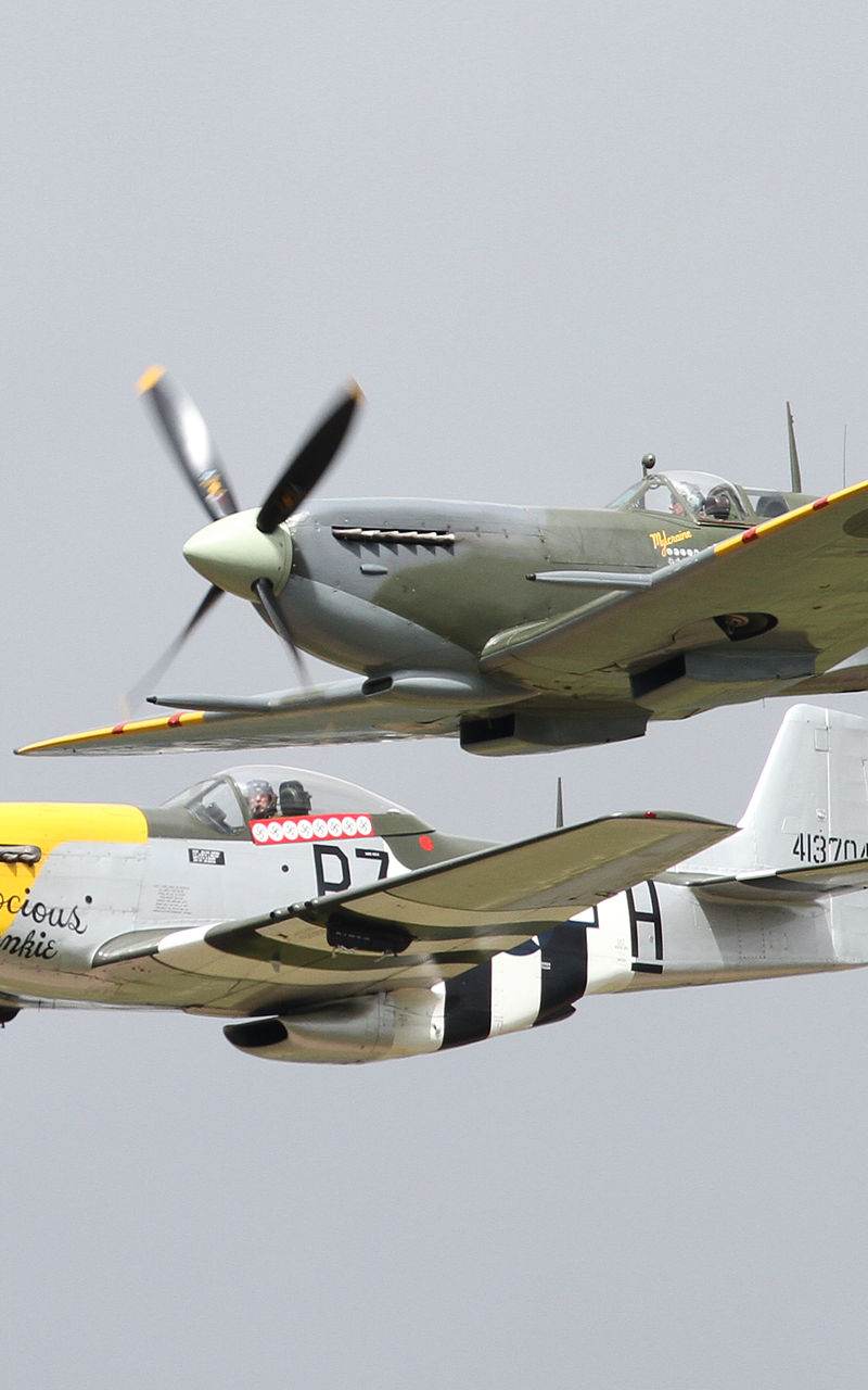  - Warbird