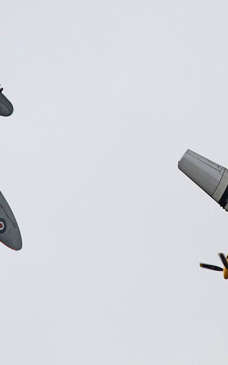  - Warbird