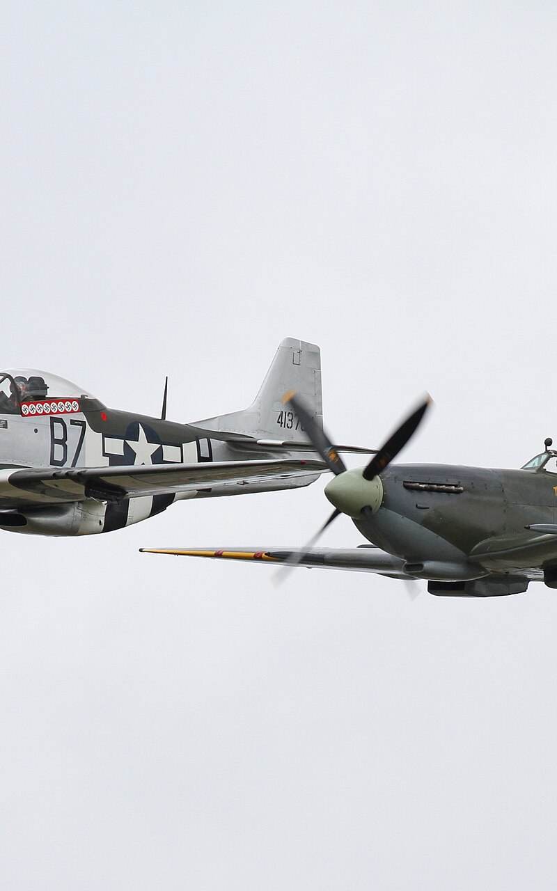  - Warbird