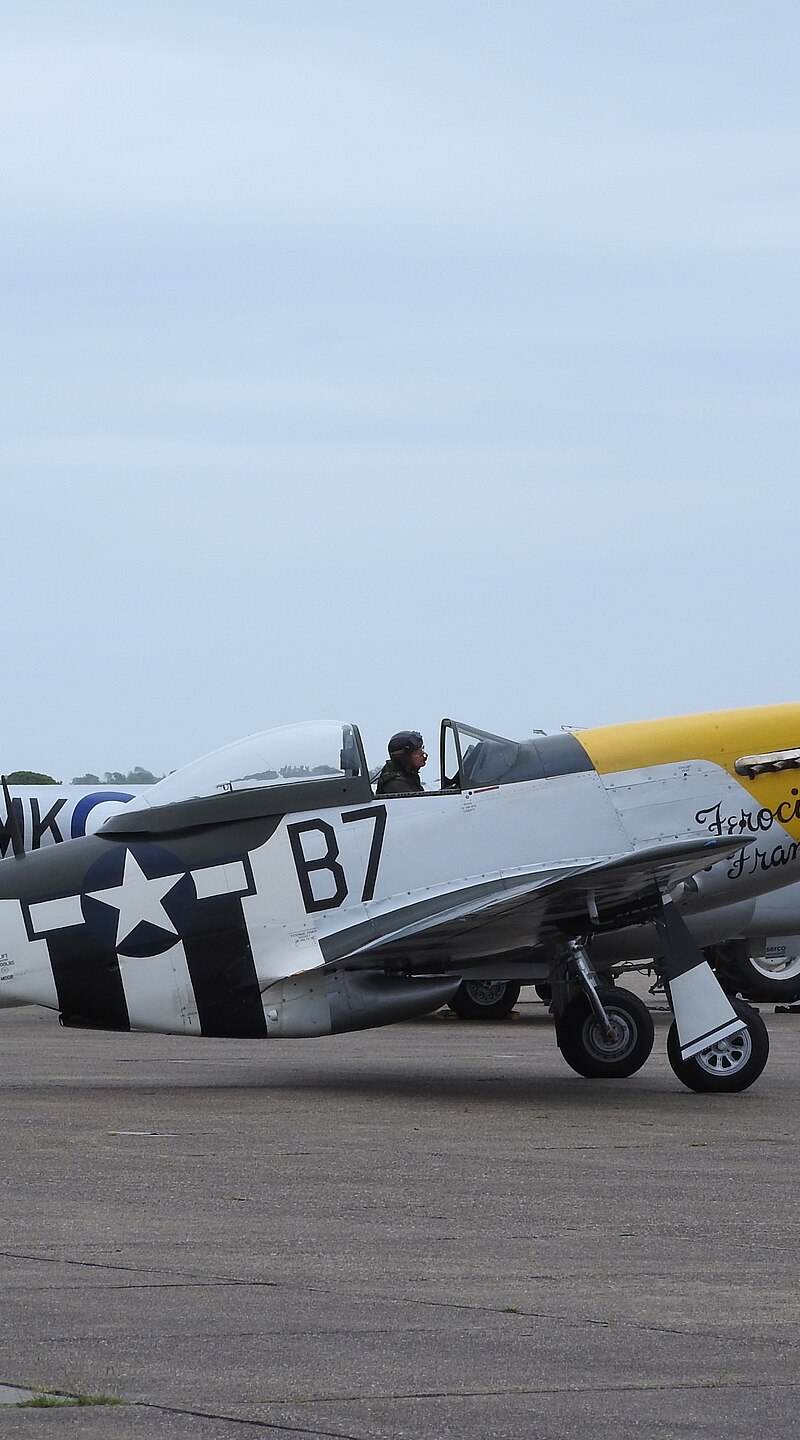  - Warbird
