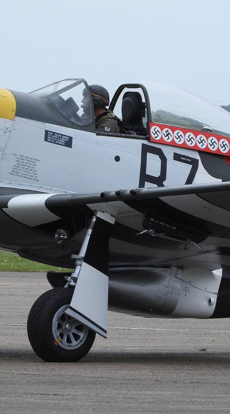  - Warbird