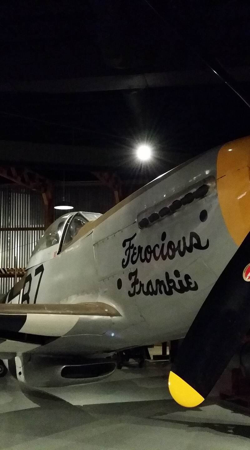  - Warbird