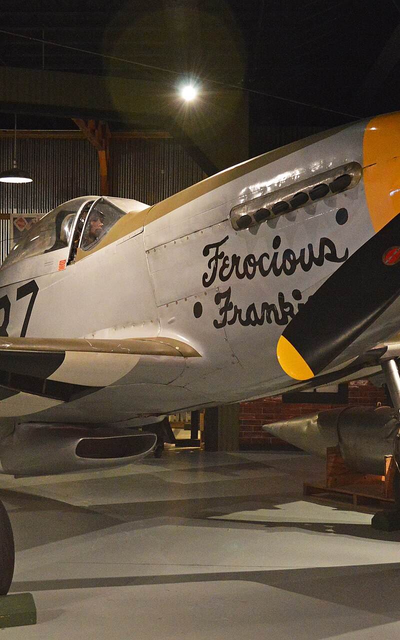  - Warbird