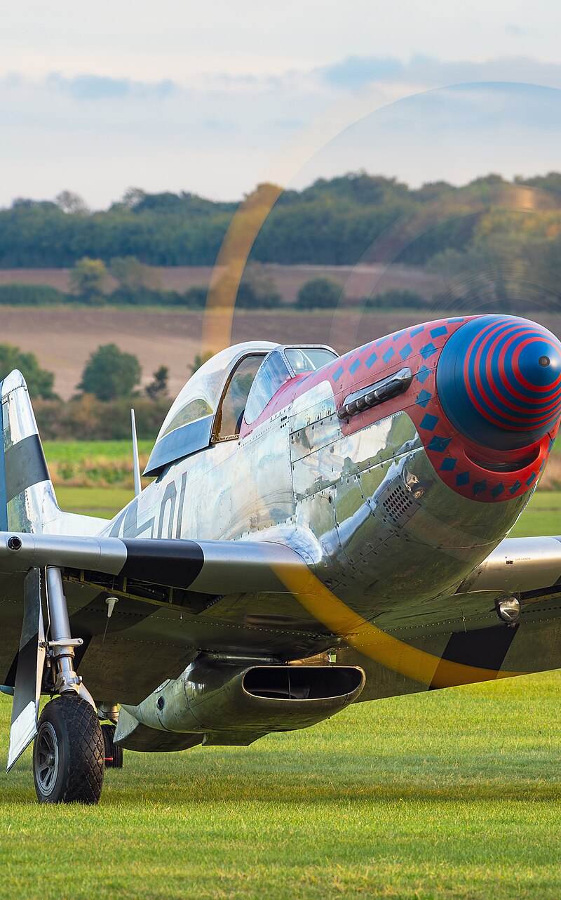  - Warbird